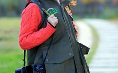 好莱坞最新大片